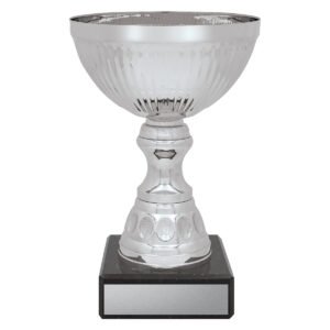 Reverie Cup – Silver