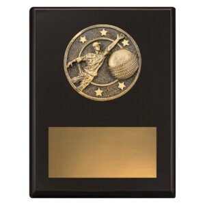 Challenge Plaque – Fielding