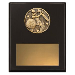 Challenge Plaque – Batting