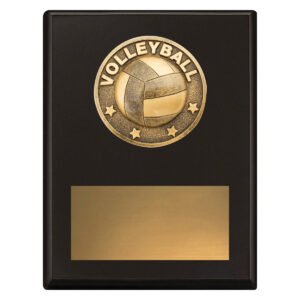Challenge Plaque – Volleyball