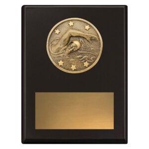 Challenge Plaque – Swim