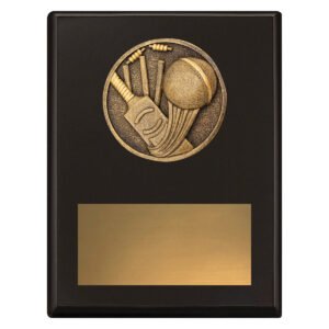 Challenge Plaque – Cricket