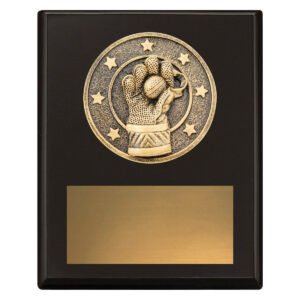 Challenge Plaque – Wicketkeeping