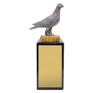 Pigeon Marble