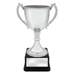 Ultimate Silver Cup